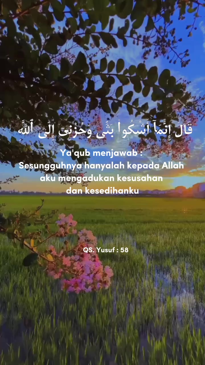 @Farida Far
