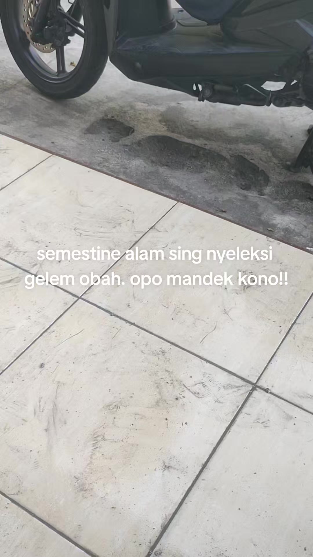 @JONI STRONG