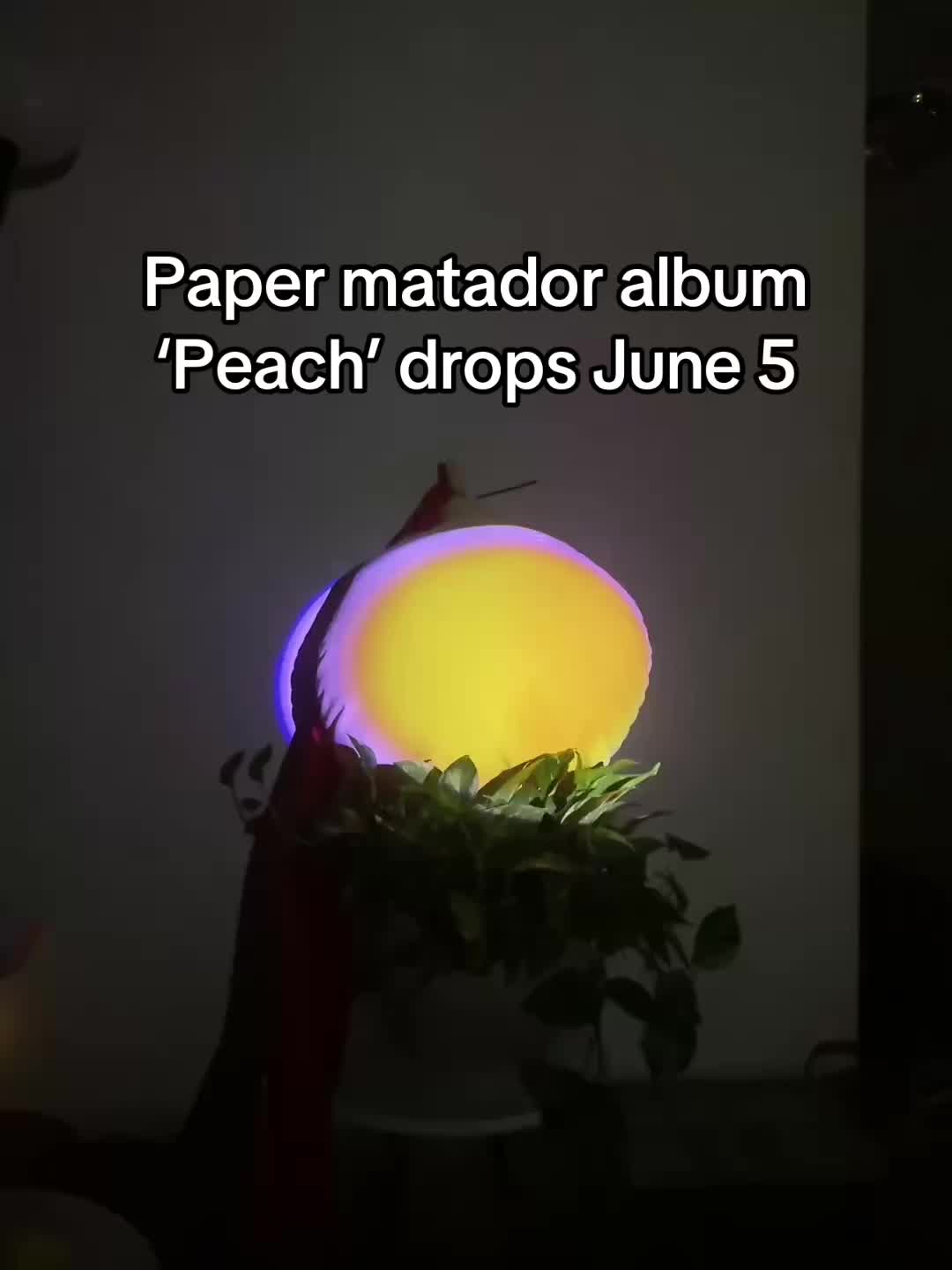 @Paper Matador