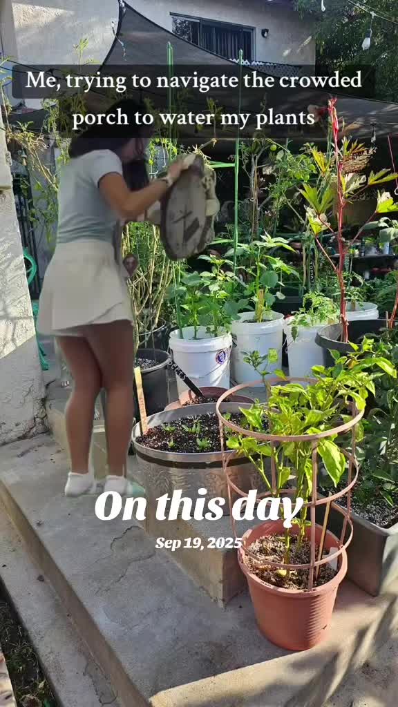 @crustaceanmary