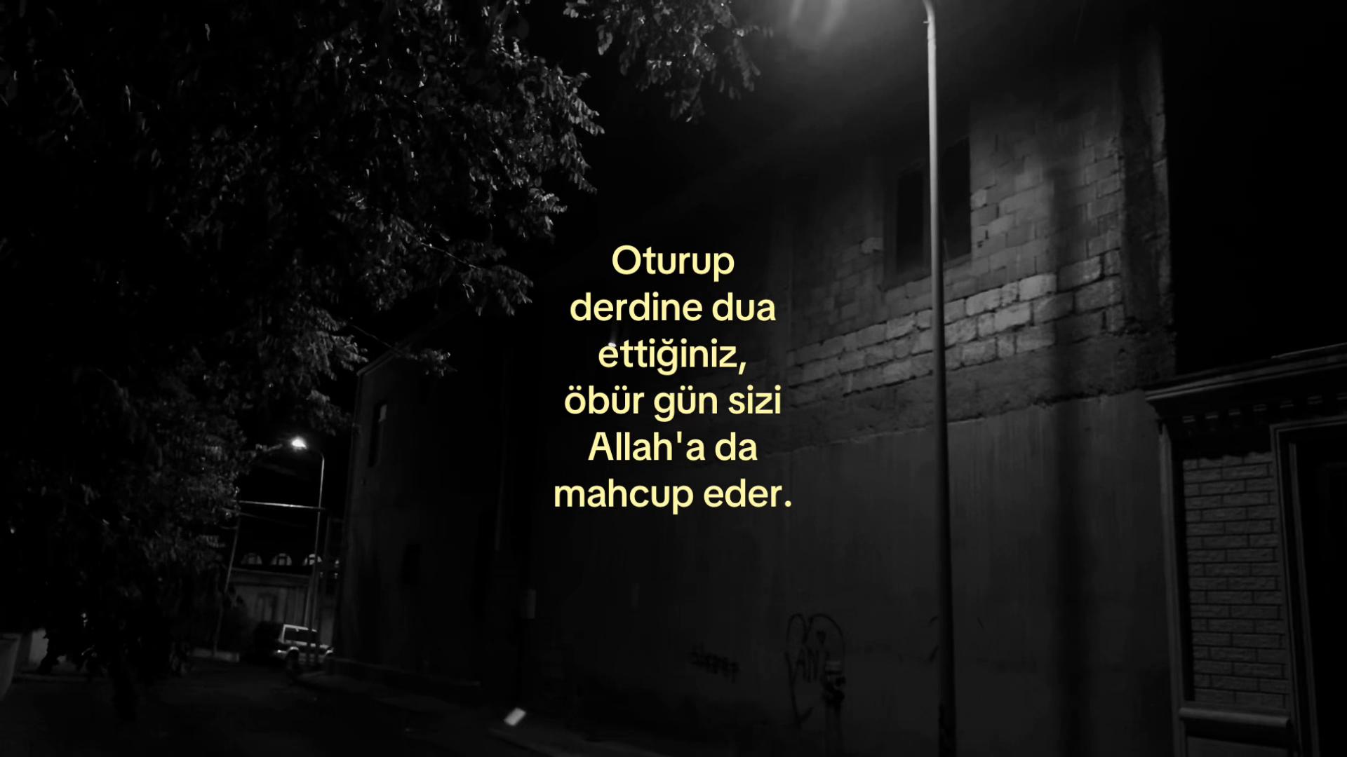 @𝓜.