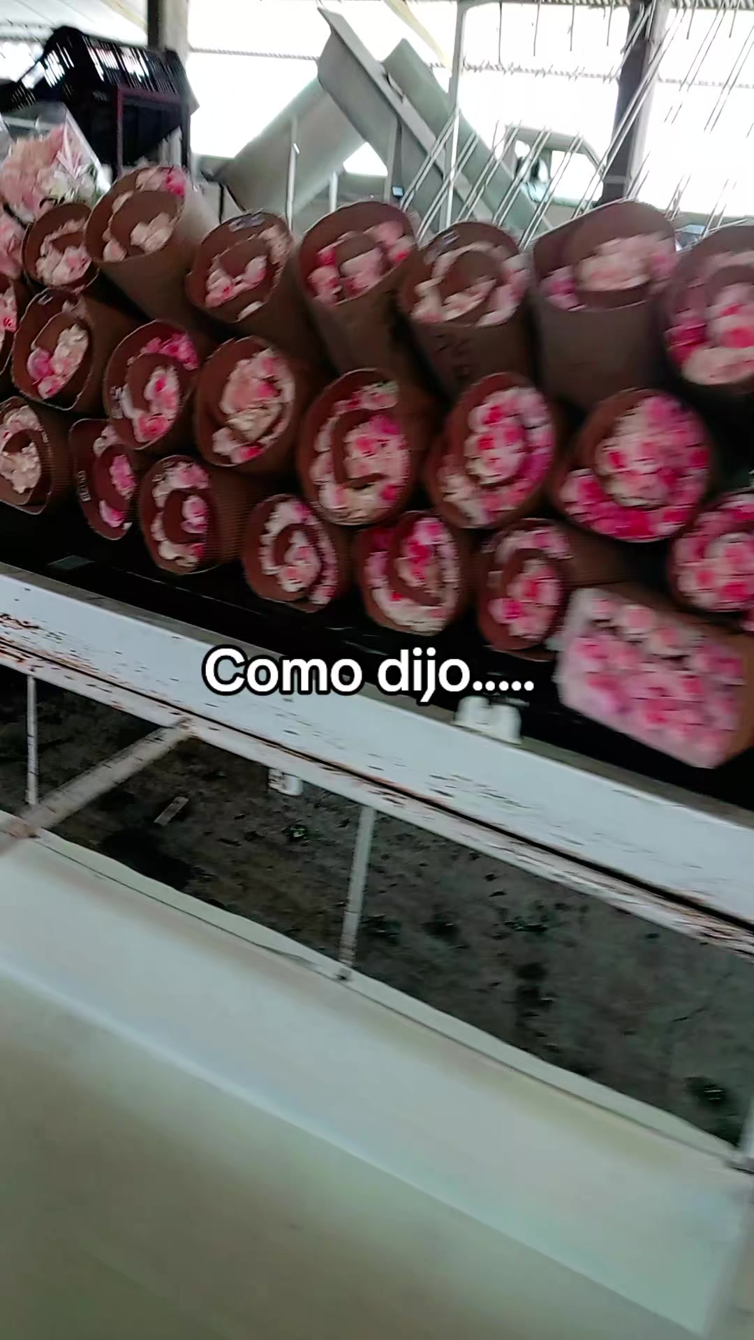 @🇧🇴🍨 Mario Toco 🍦