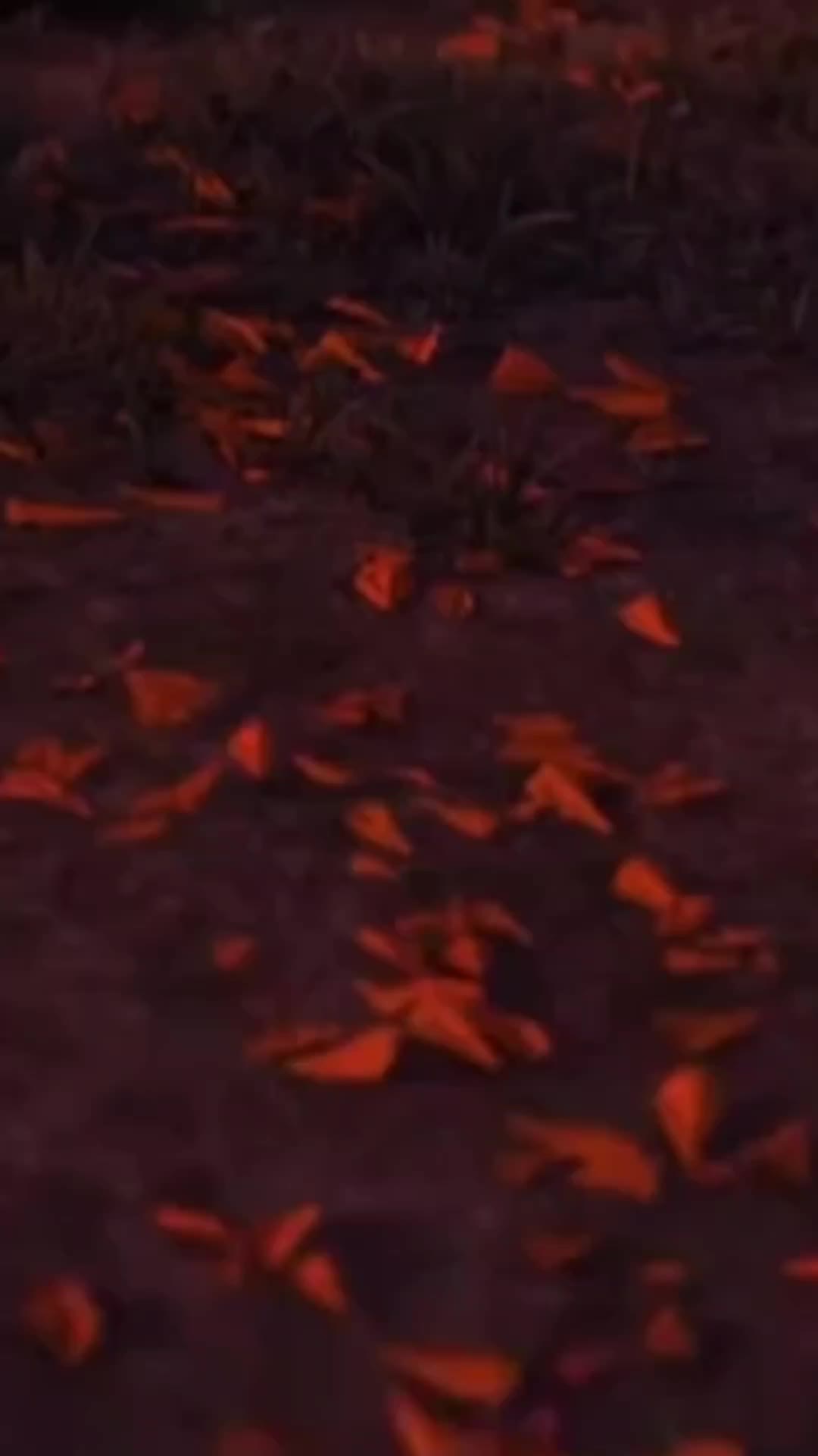 @𝐼𝓉𝓏𝑒𝓁🌻
