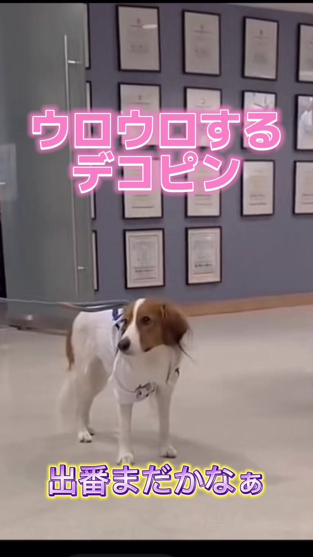 @TR