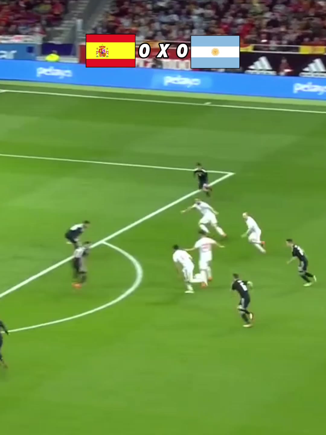 @Lucho Highlights