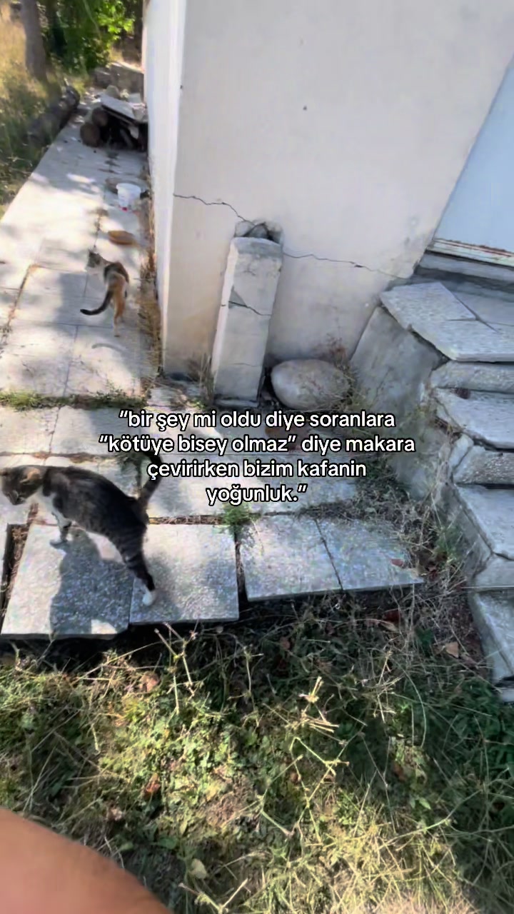 @bakiyogozlerimanaali