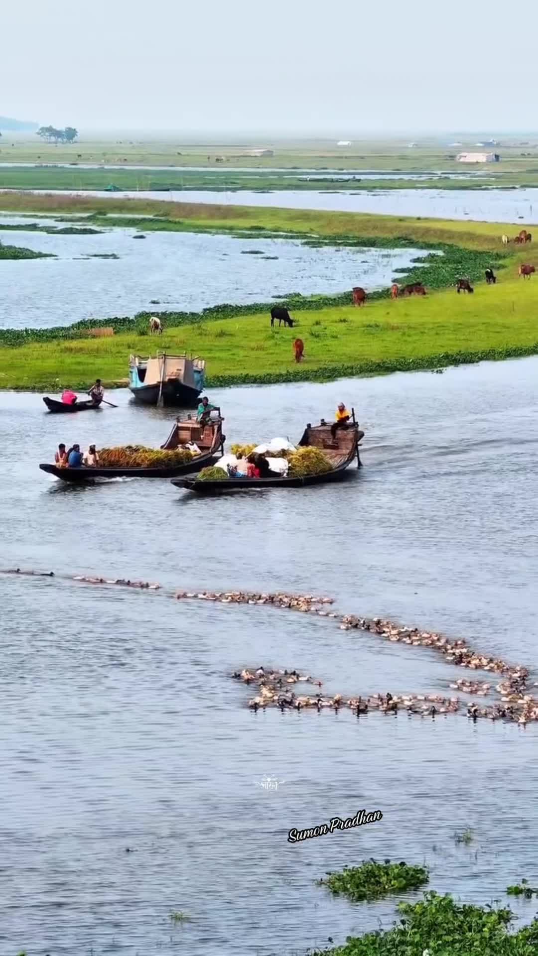 @🌹সুমন প্রধান 🇧🇩🛬🛬🇱🇷🇱🇷