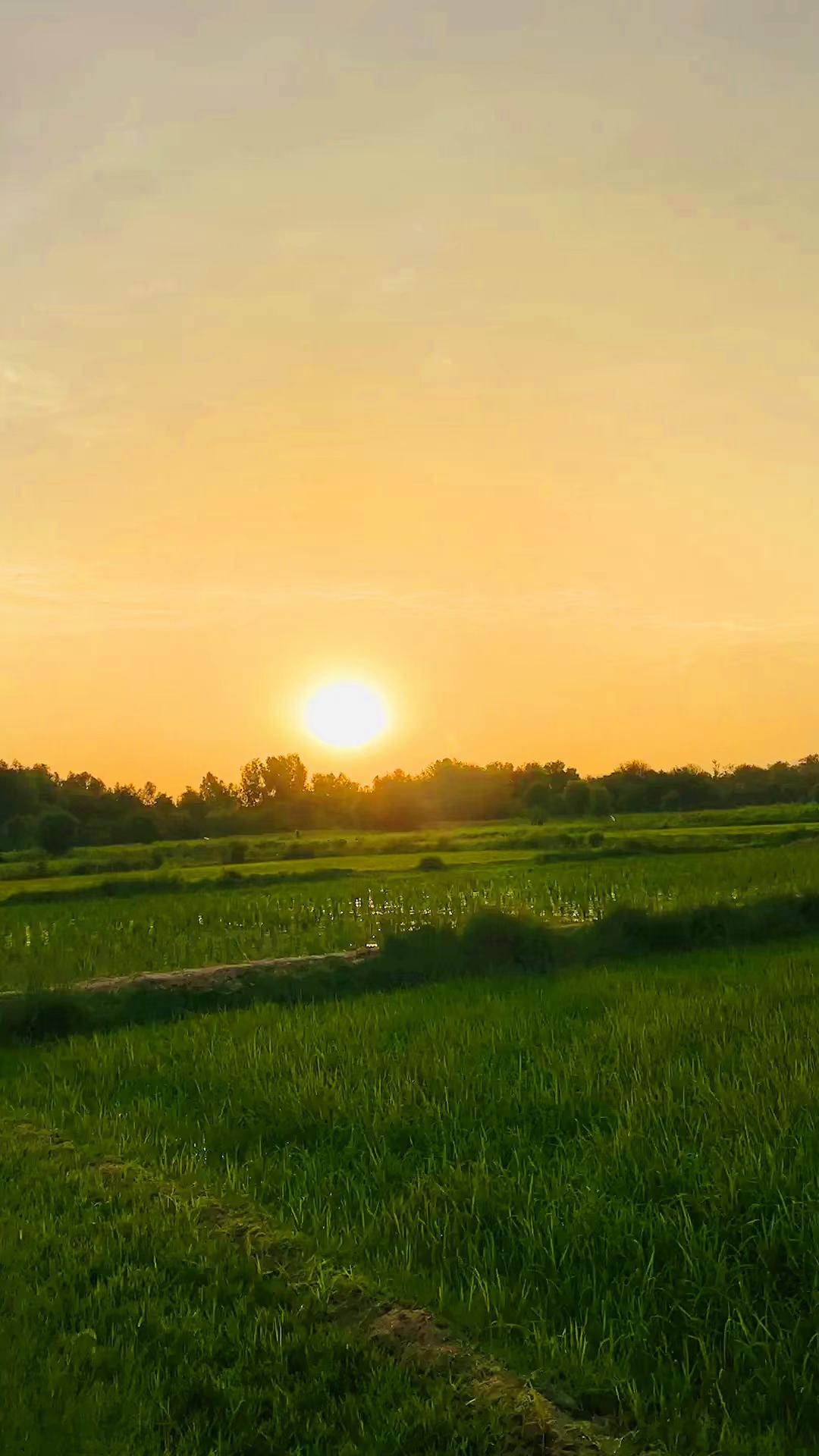 @S Khostai l❤️🏏