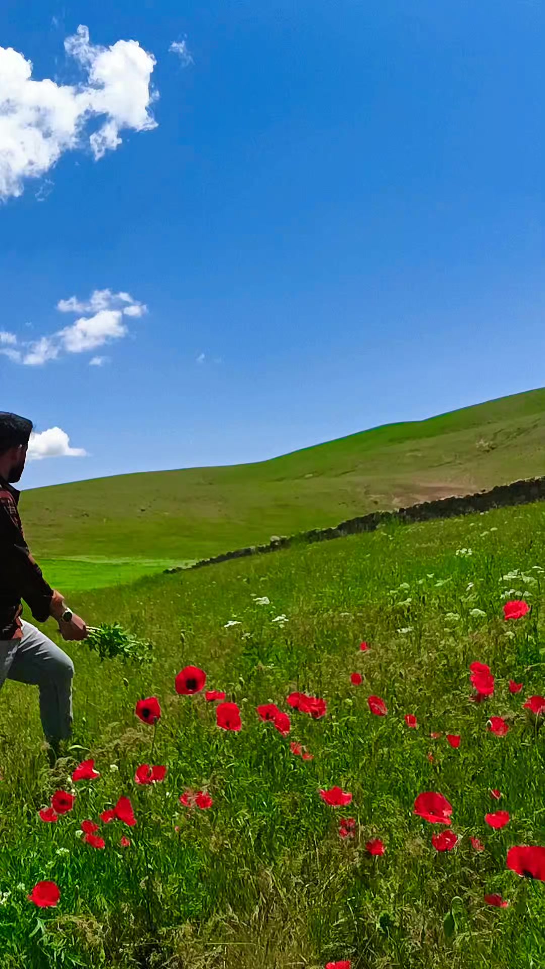 @&Ouml;zkan Boz☑️