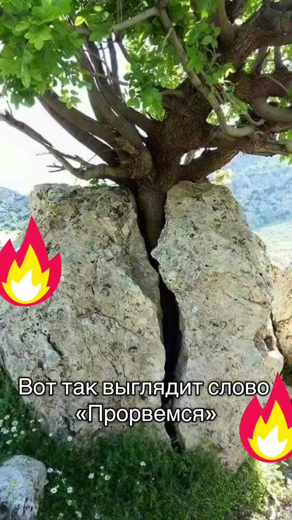 @Oлена