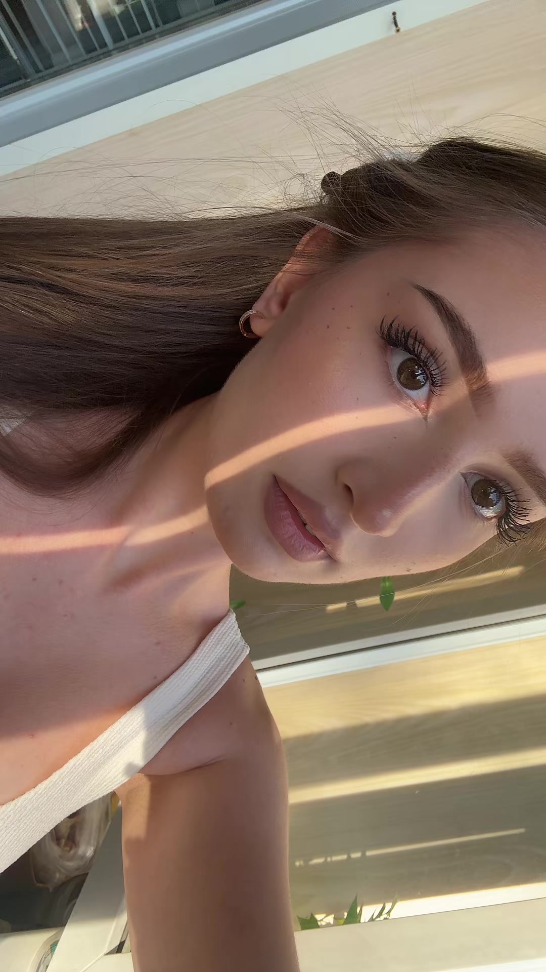 @alchnostd