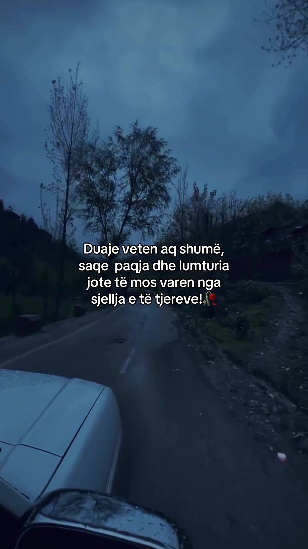 @Thenje&ensp;Per&ensp;Jeten🥀