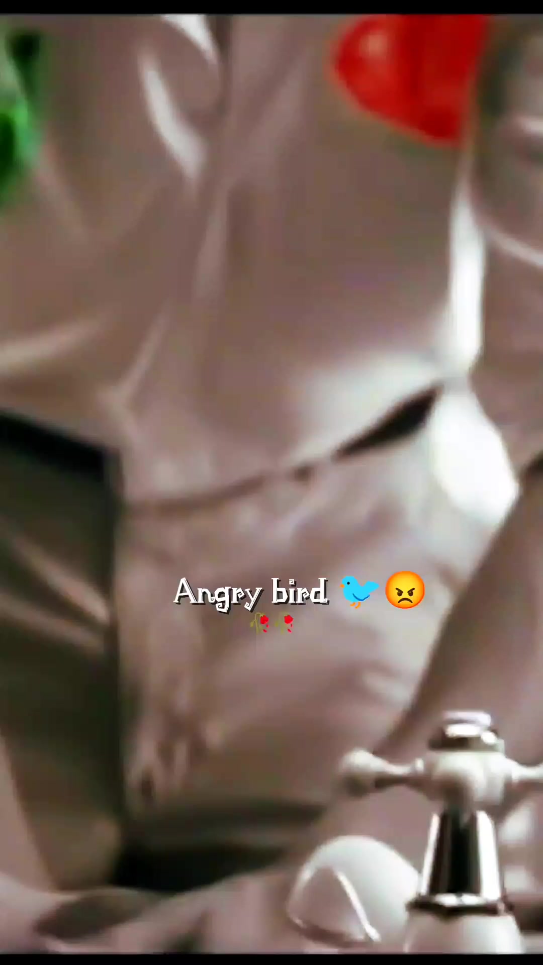 @💫𝖆𝖓𝖌𝖗𝖞 𝖇𝖎𝖗𝖉𝖘💫💥