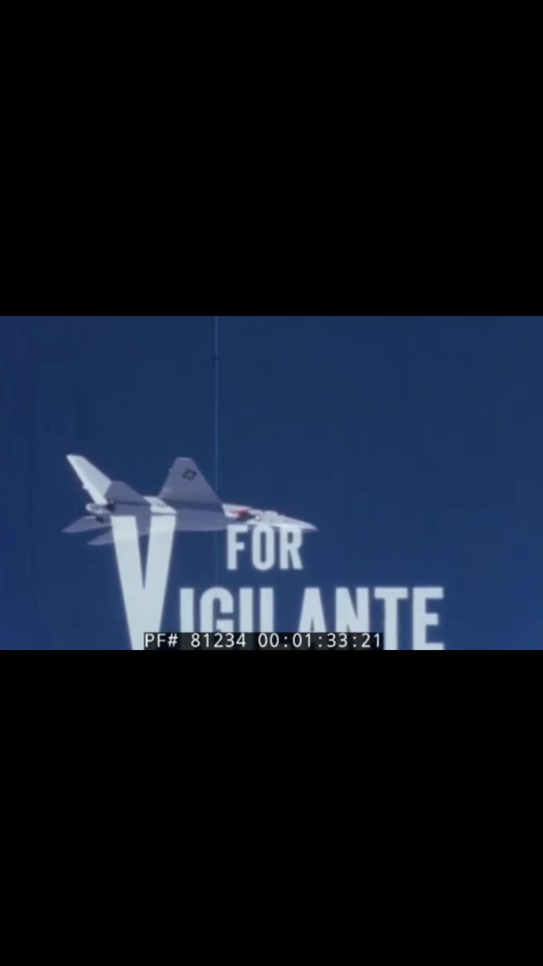 @VIPER Aviation