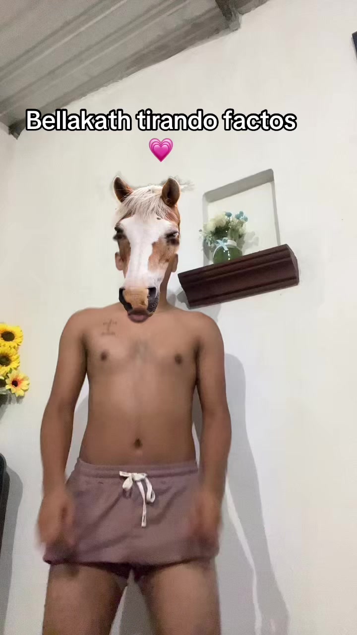 @Elmolinaj
