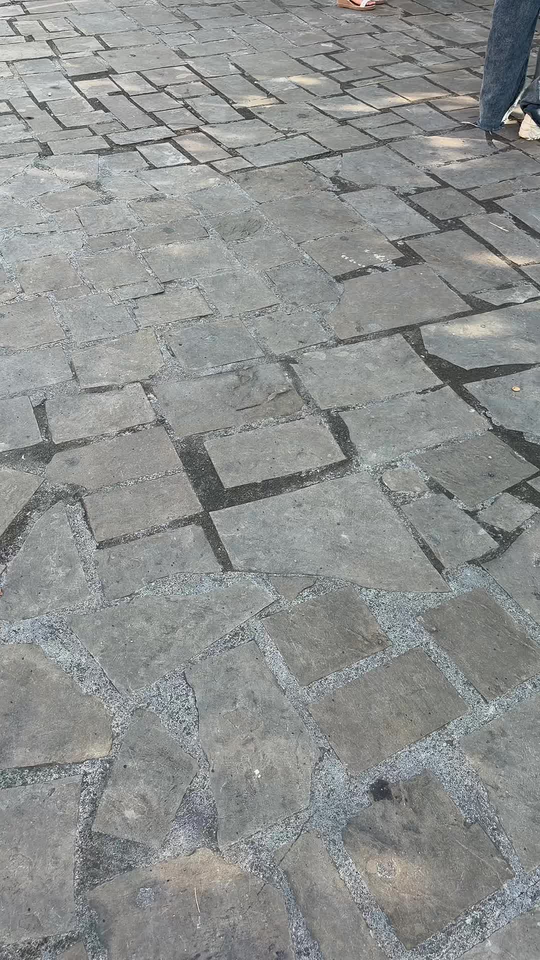 @diana