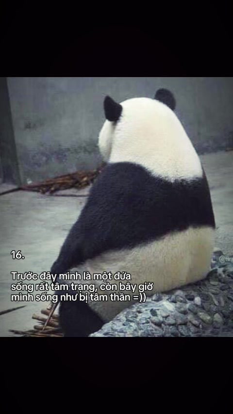 @Thấy iu đời