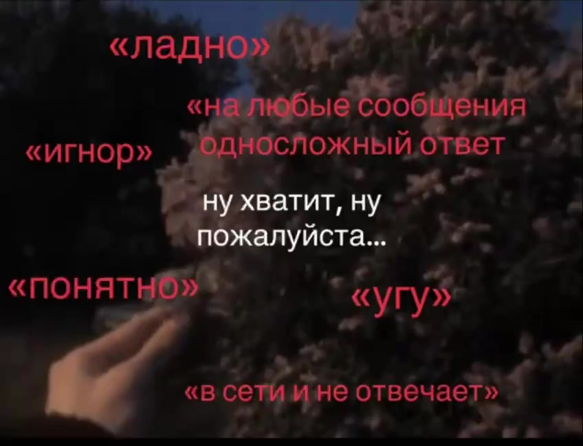 @ɯиᴩяᴇʙᴀ.
