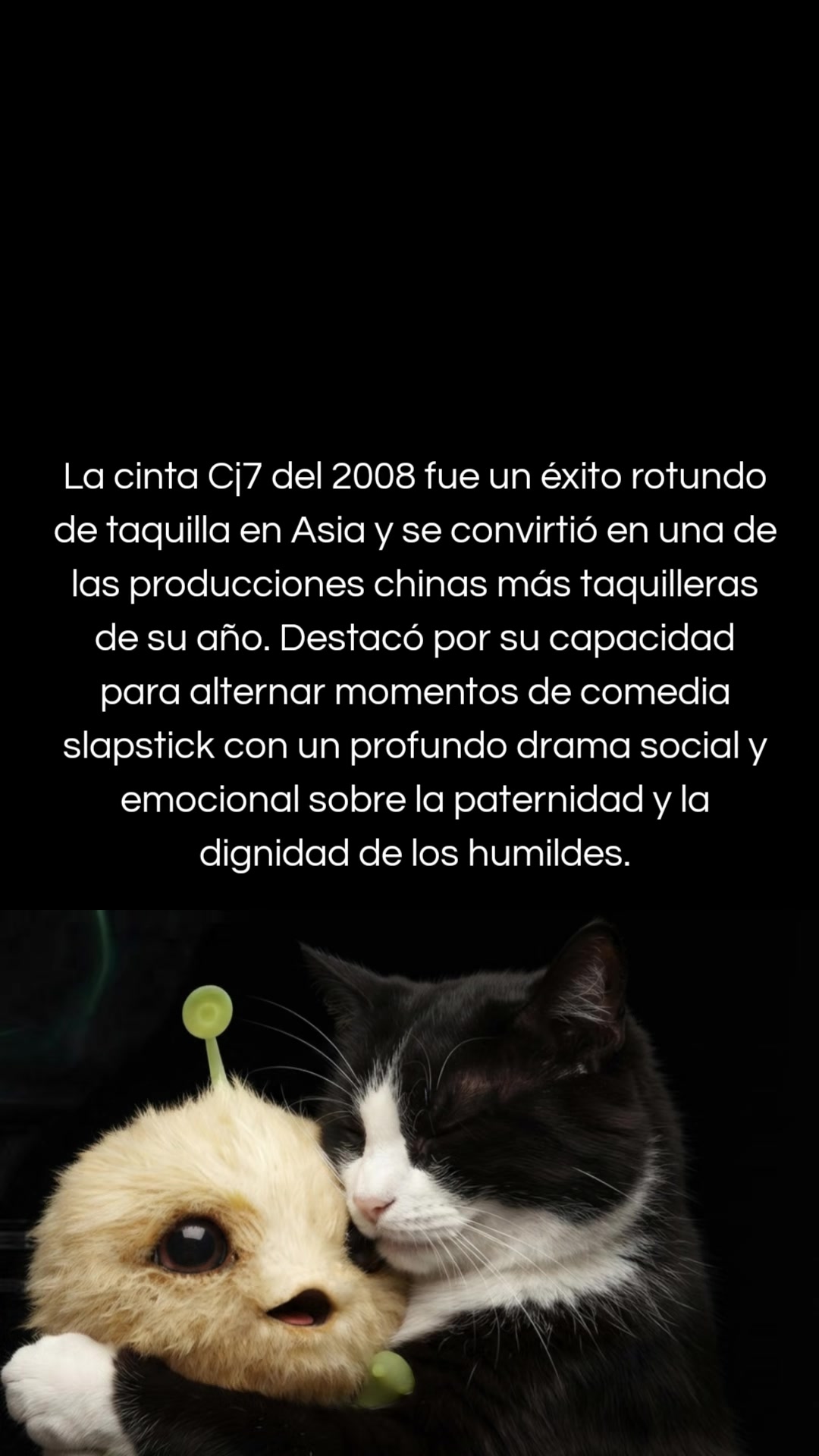 @Gato Cinéfilo Oficial