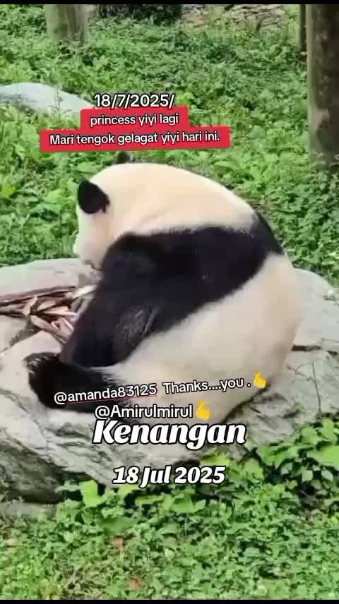 @AmirulMirul3