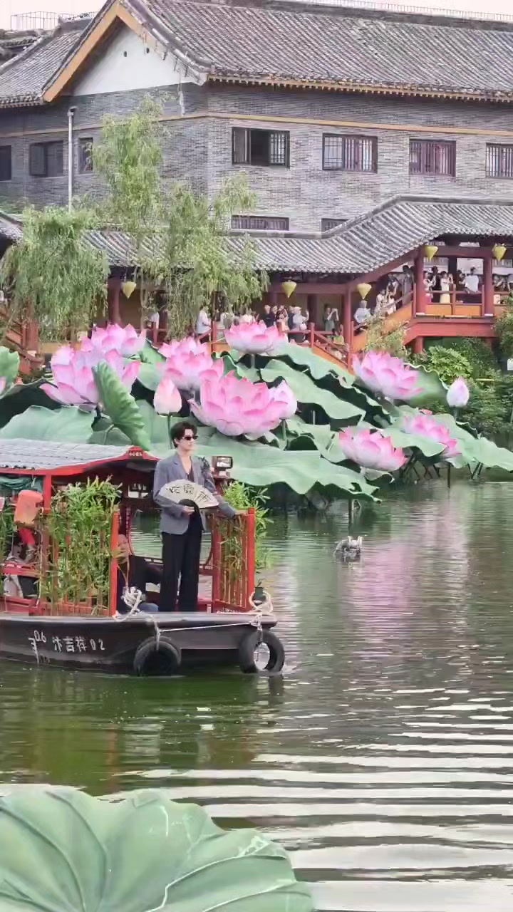 @yy 杨洋
