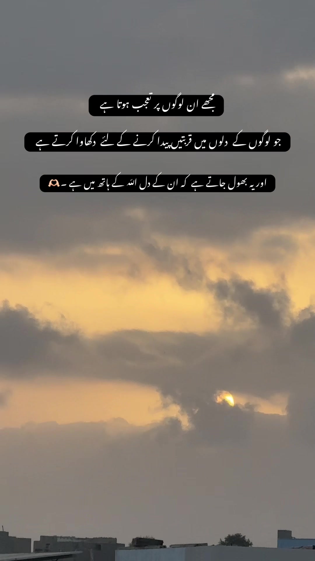 @مصباح لغاری ✨