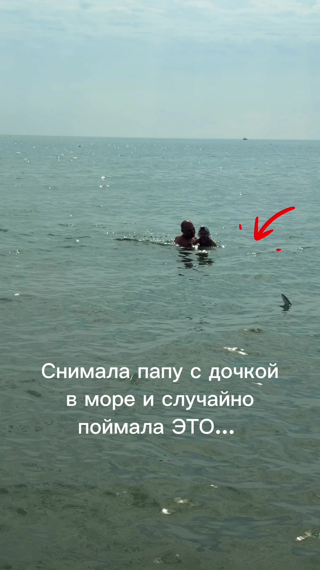 @Папа & малыш &mdash; смех и милота