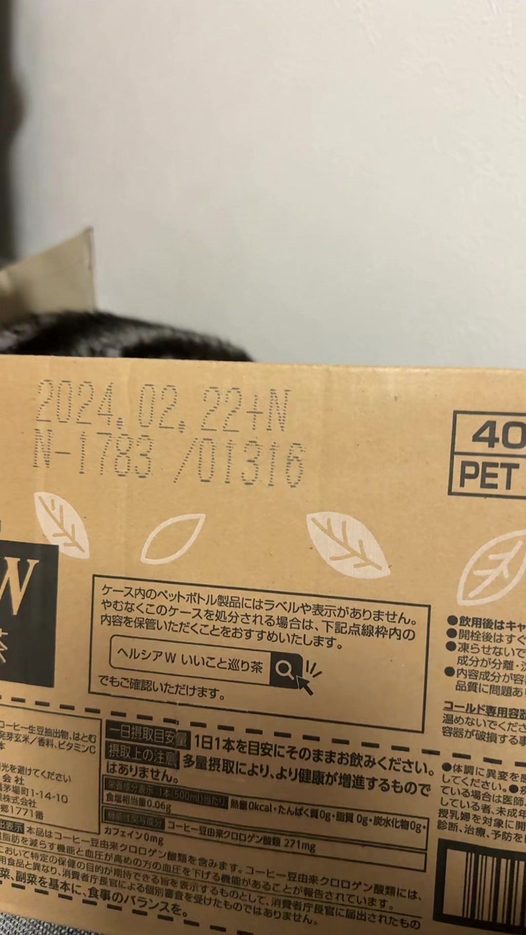 @パンダコンダ