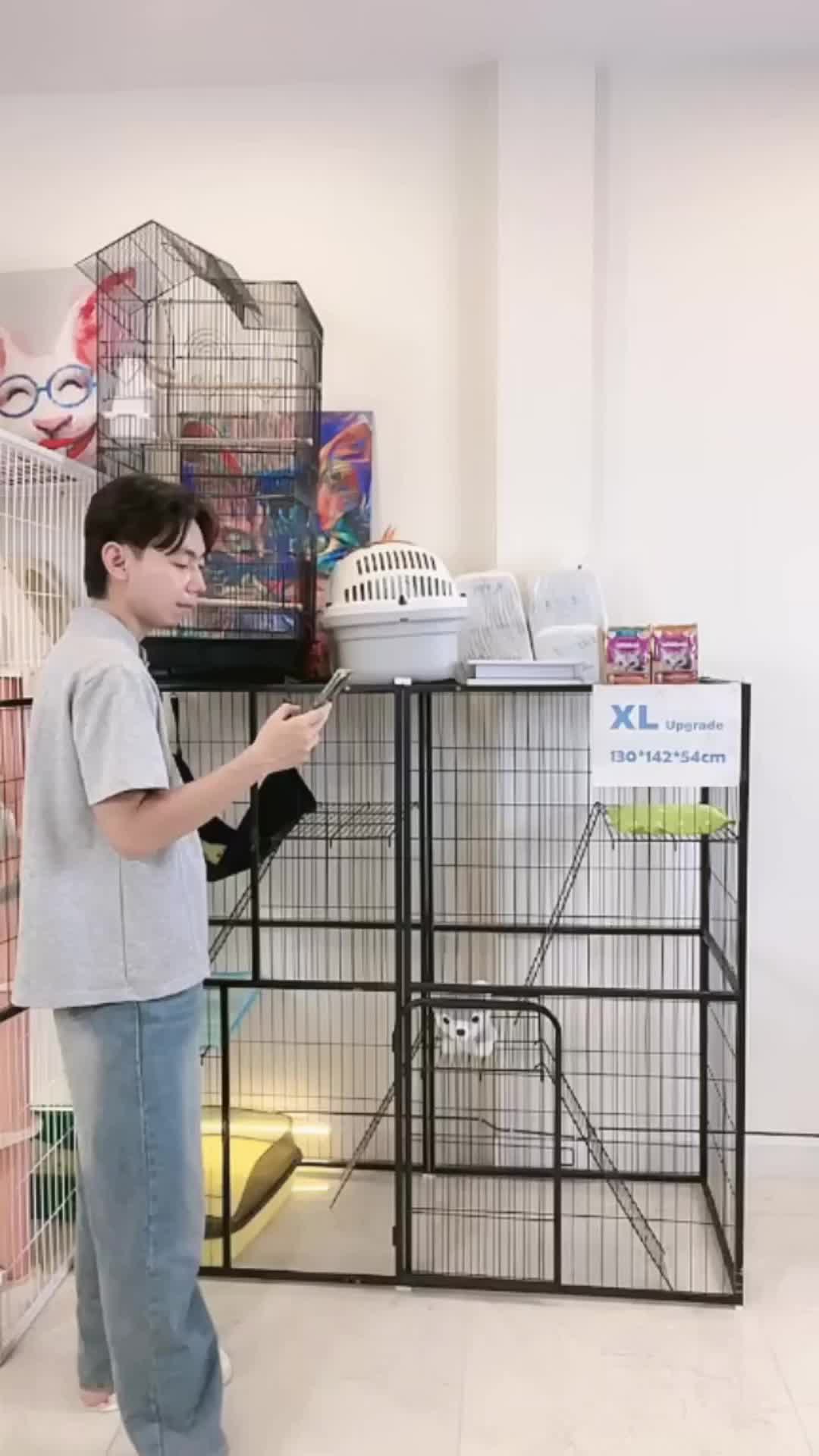 @petsland