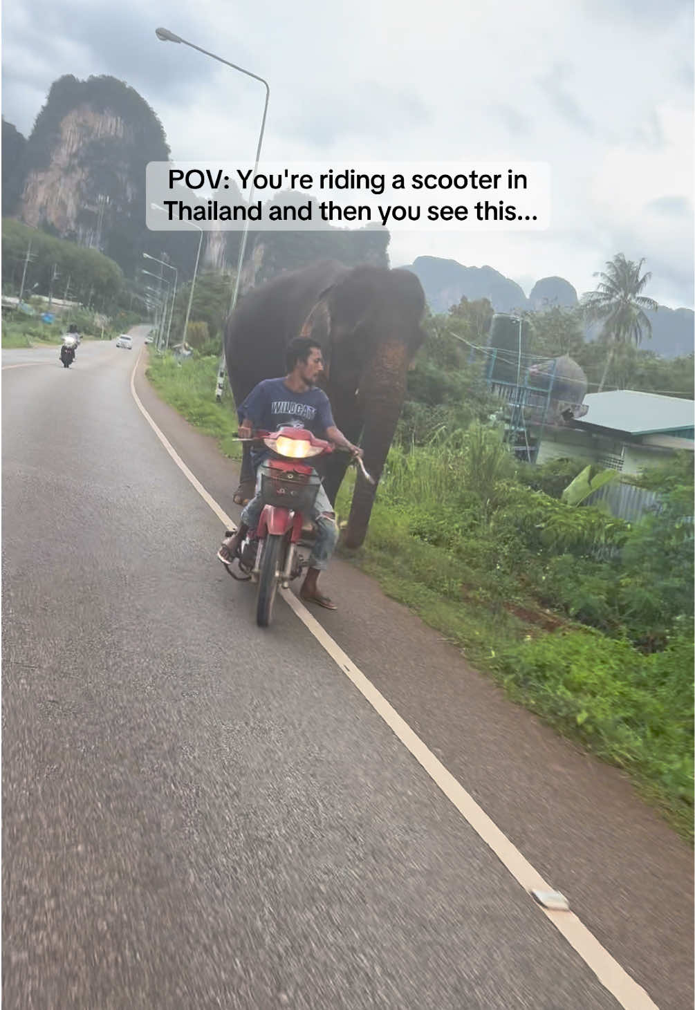 @Pas🗺️