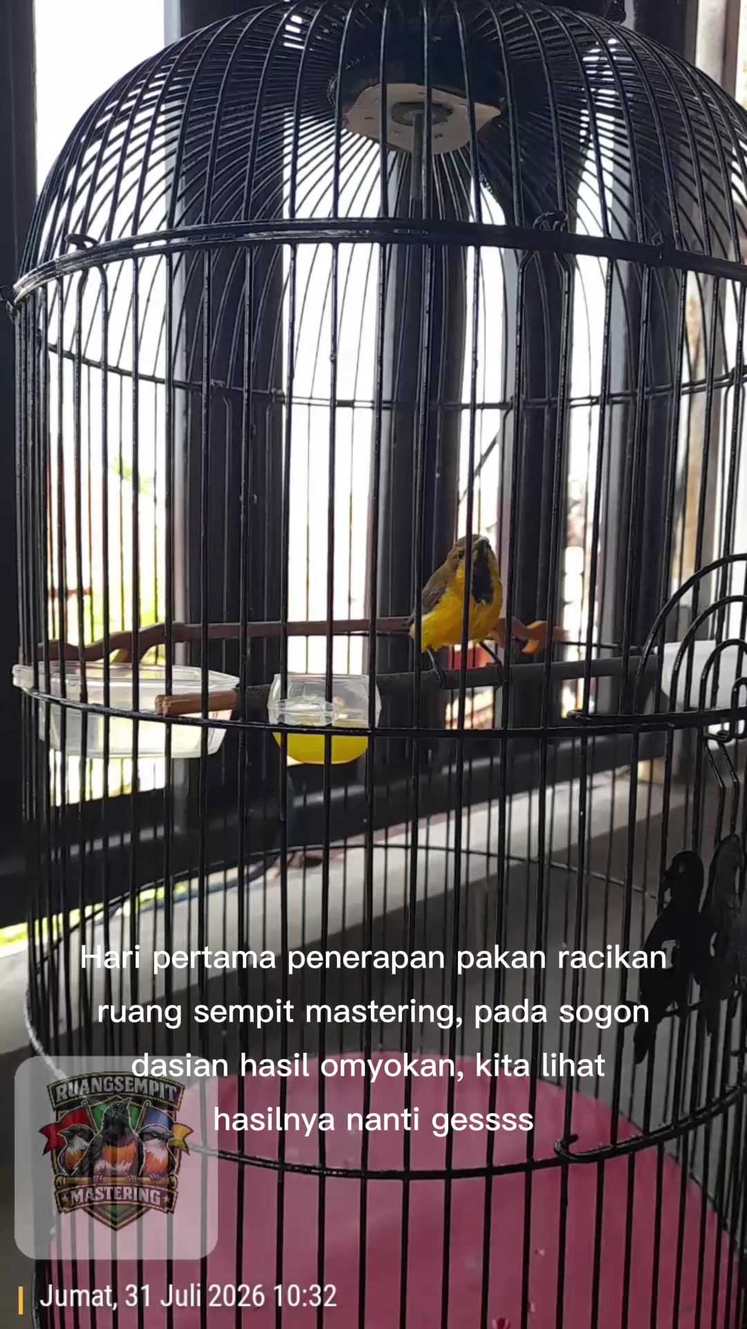 @IFAN STONE