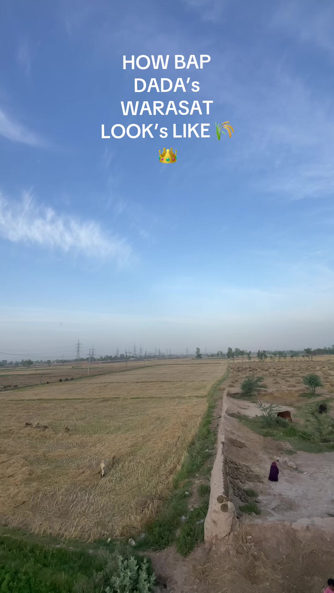 @🦅راۓ حسنین کہرل 🦅