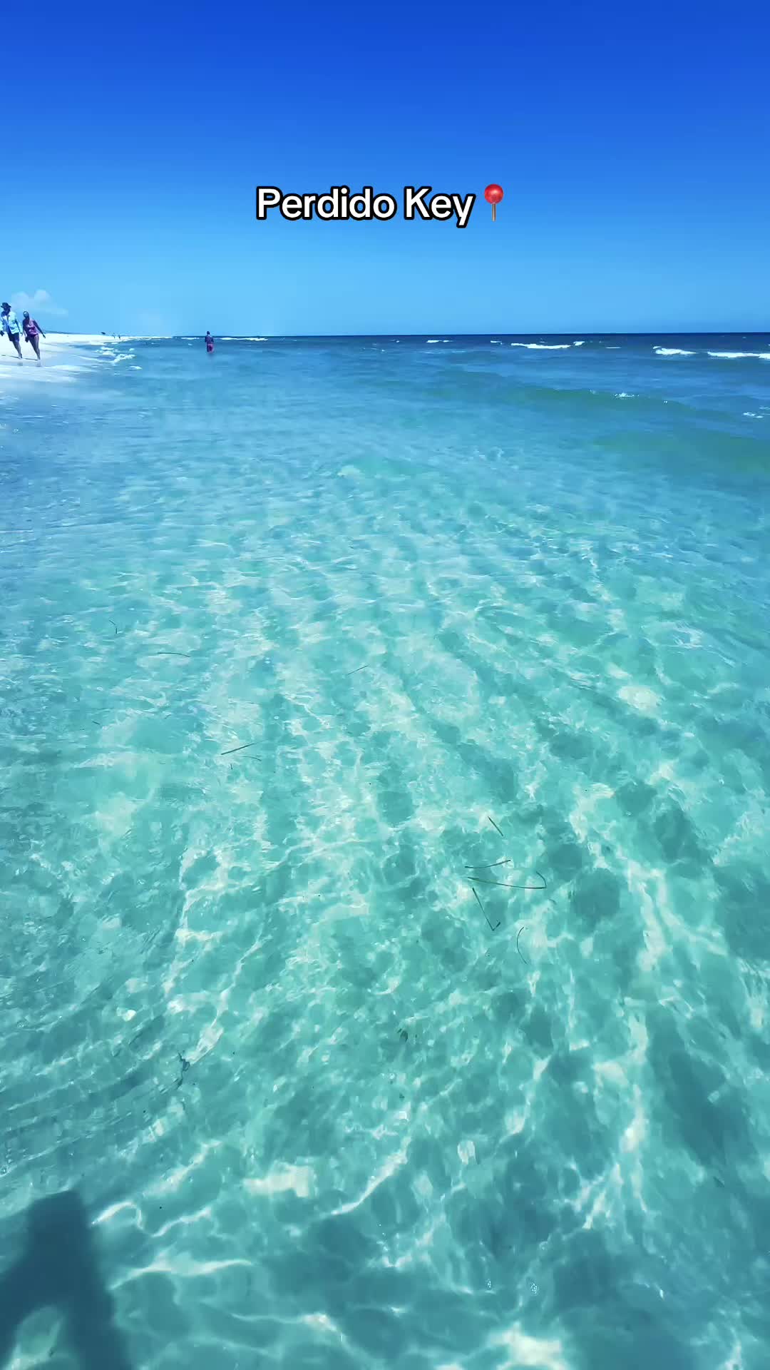 @All Things Emerald Coast