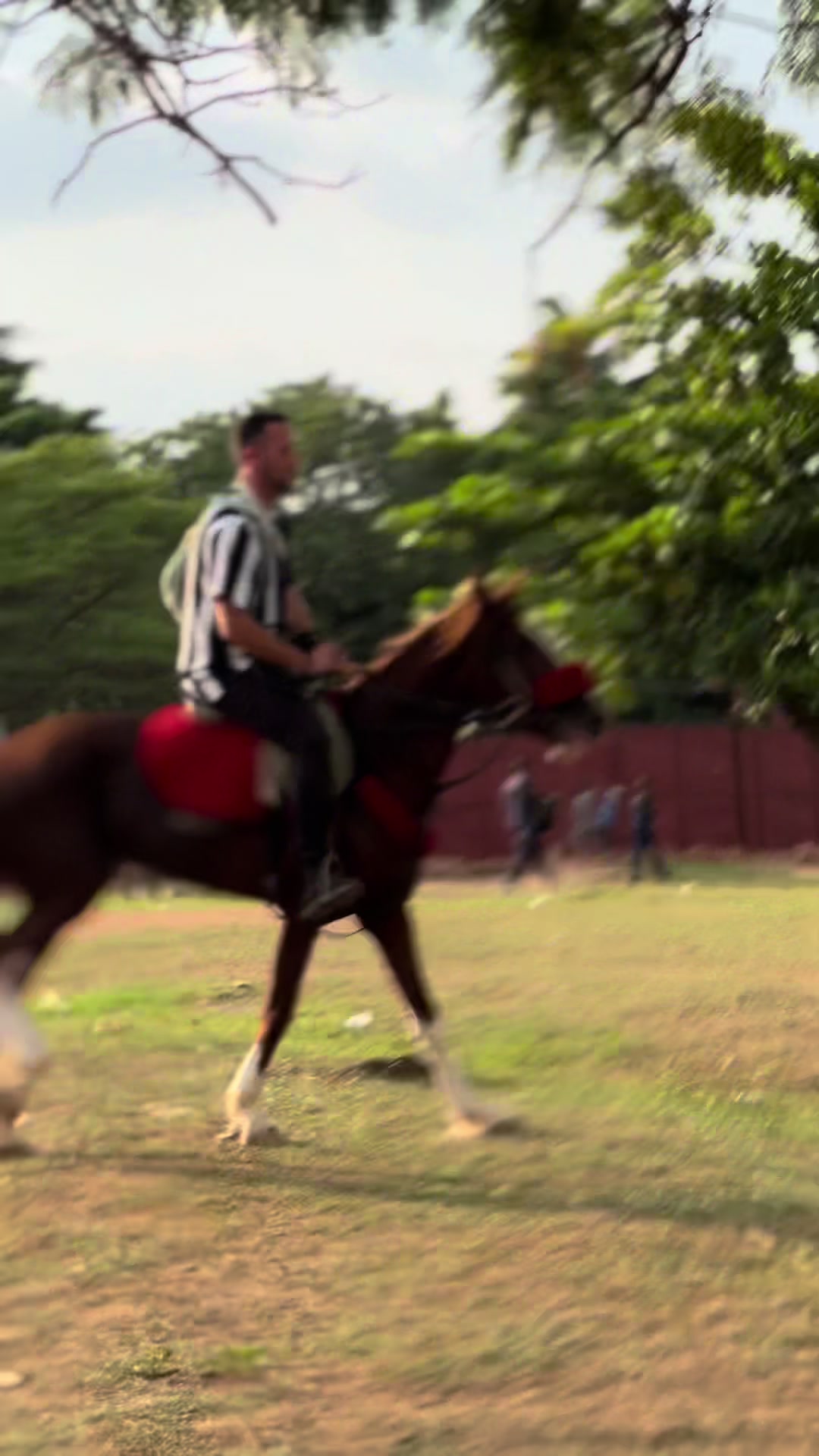 @Abuja horse riders