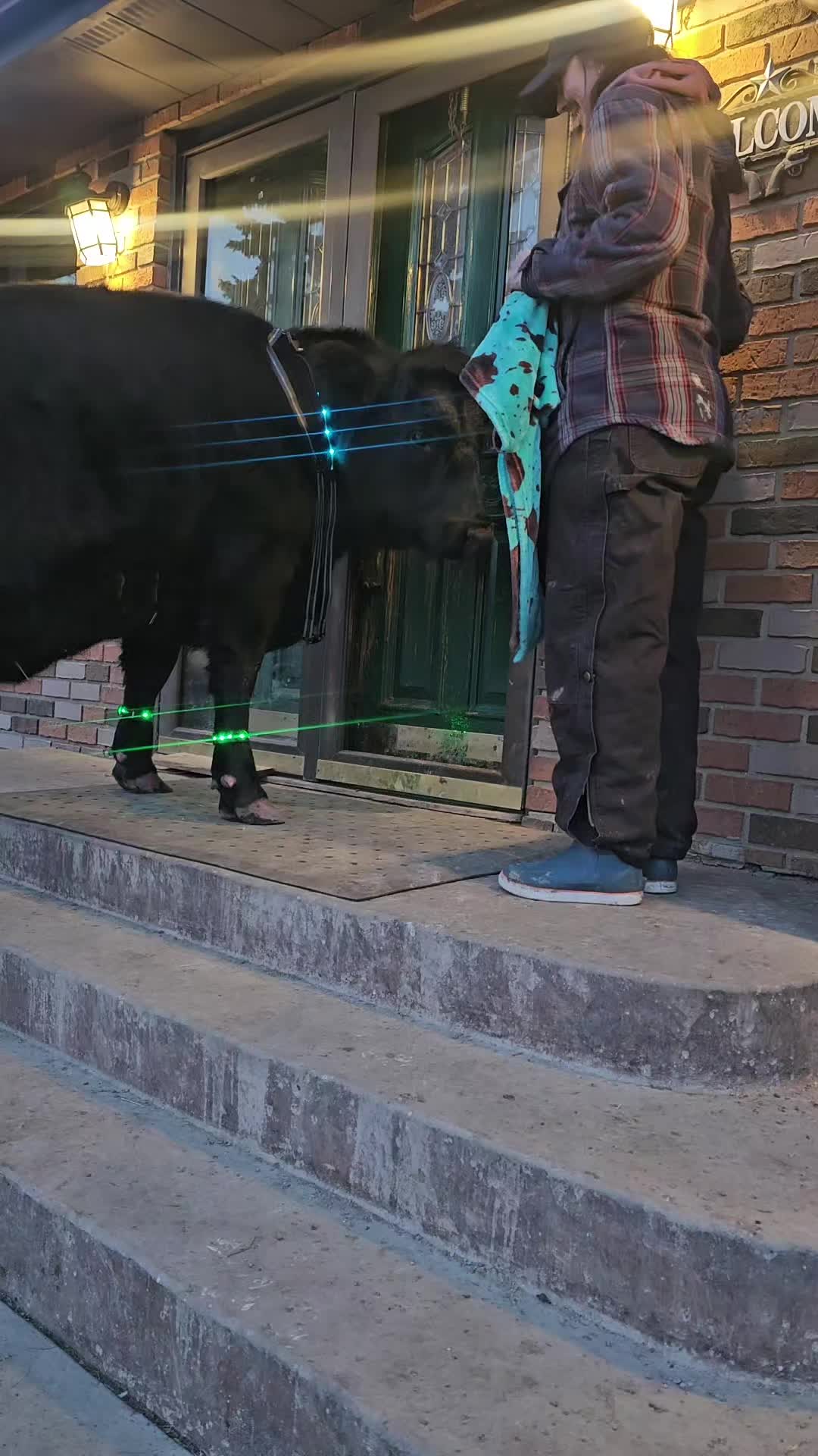 @Dakotafunnyfarm