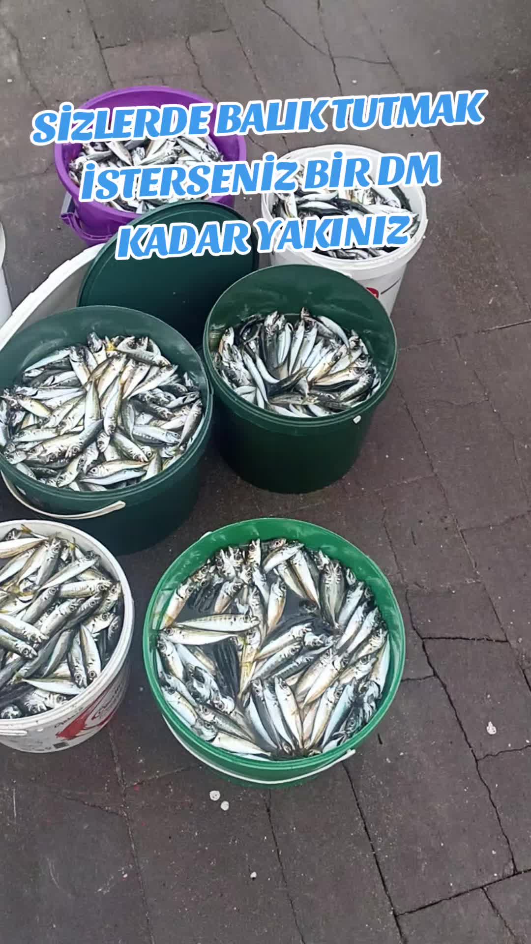 @SeRCan KaPTaNLa TeKNe KeYFi