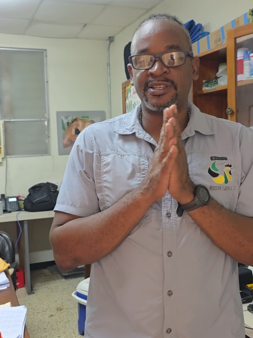 @Roostersworldja