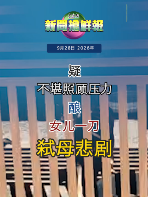 @中国报