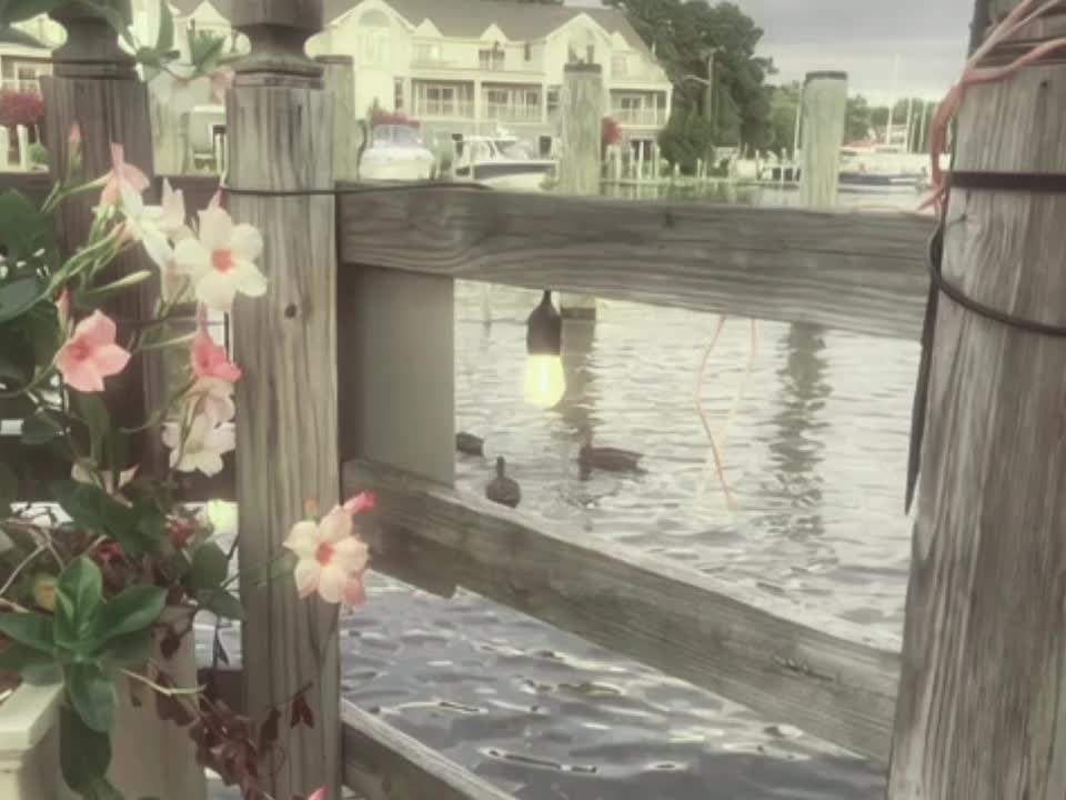 @𝘿𝙄𝙂𝙄𝙏𝘼𝙇𝙄𝙎