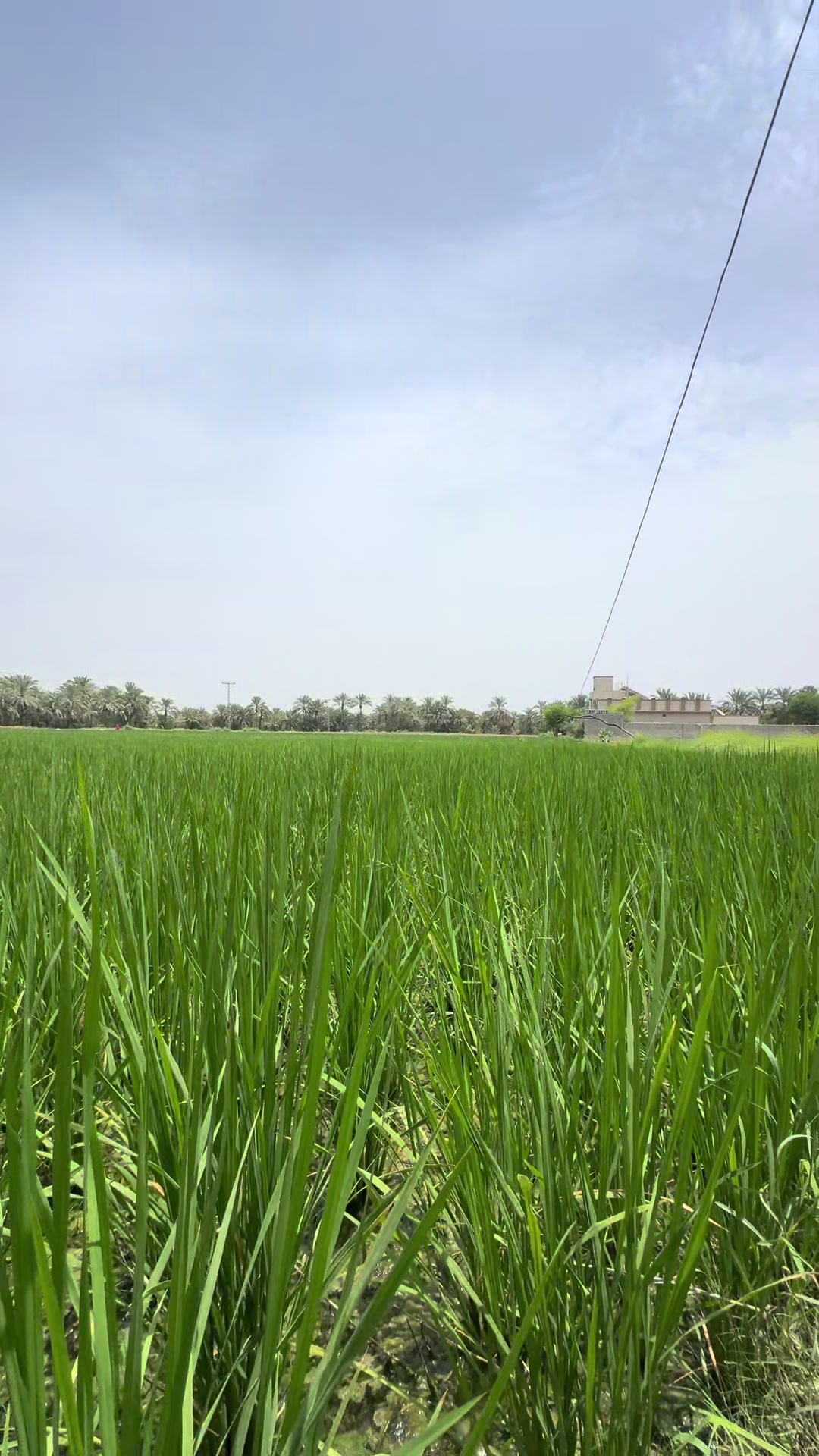 @Rahmdil Saba
