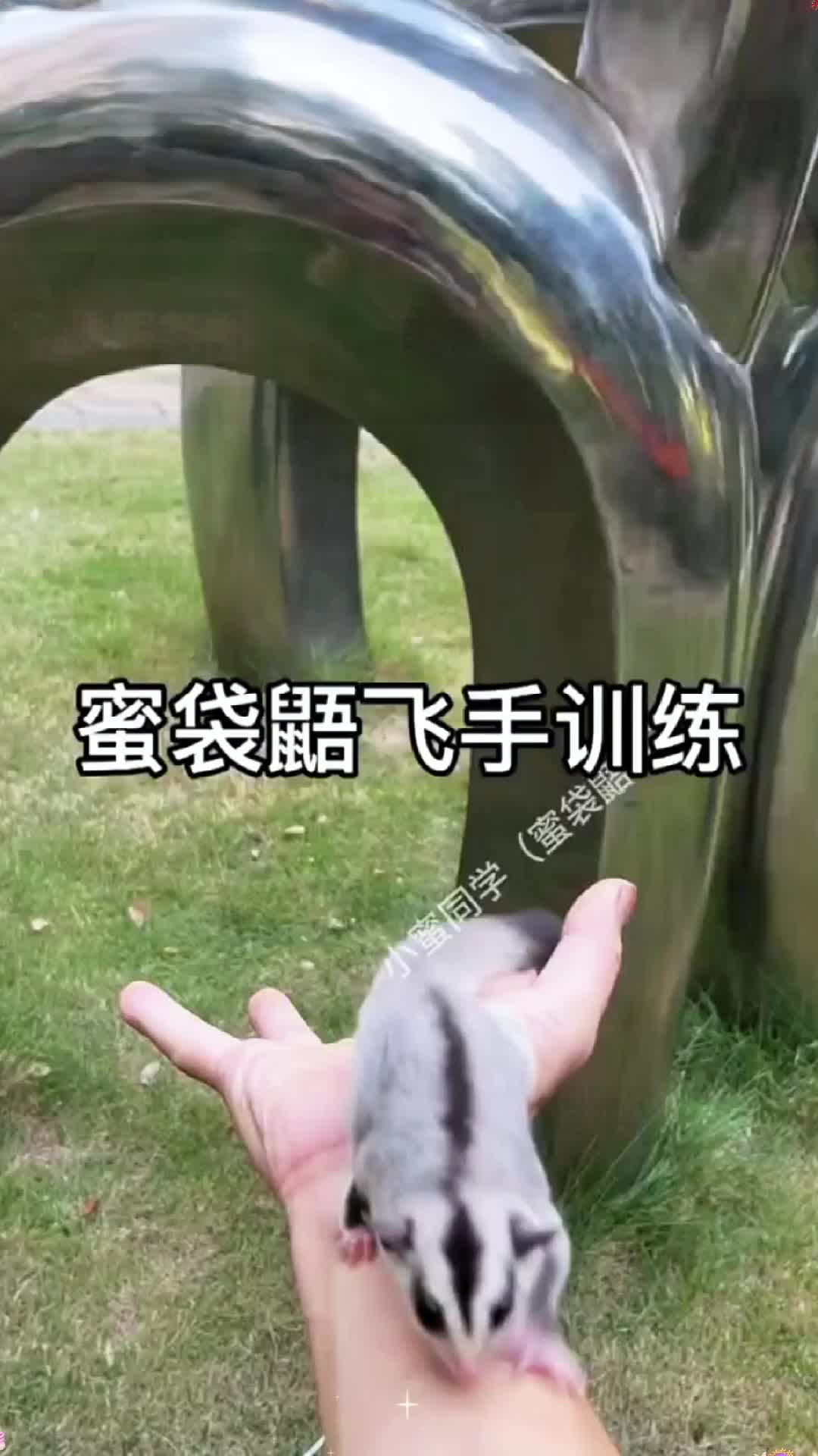 @sturgfzrp8k