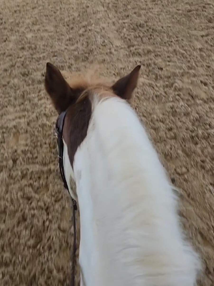 @untamablecowgirl🛢🐎&hearts;️