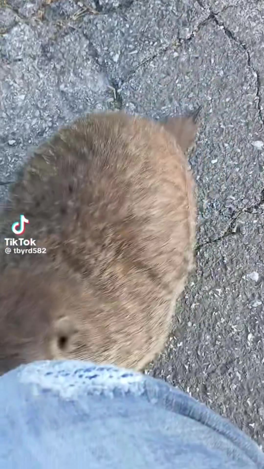 @Reacher