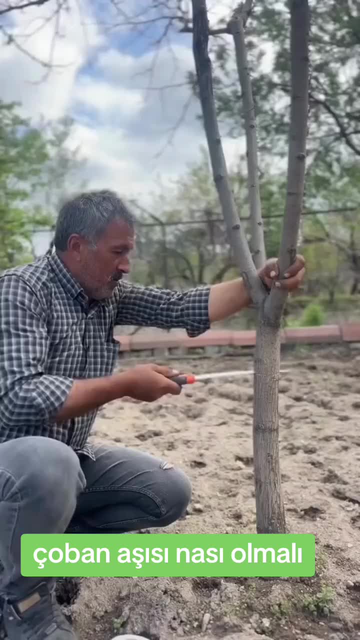 @yörelerimiz ve kültürlerimiz
