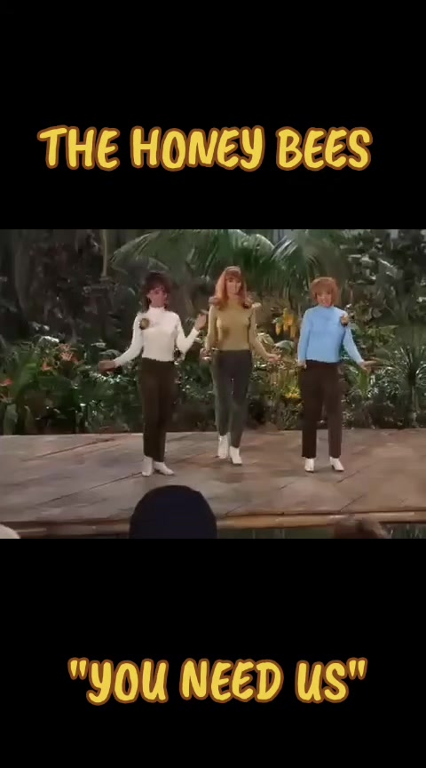 @PAZ