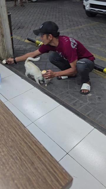 @Vdb petshop
