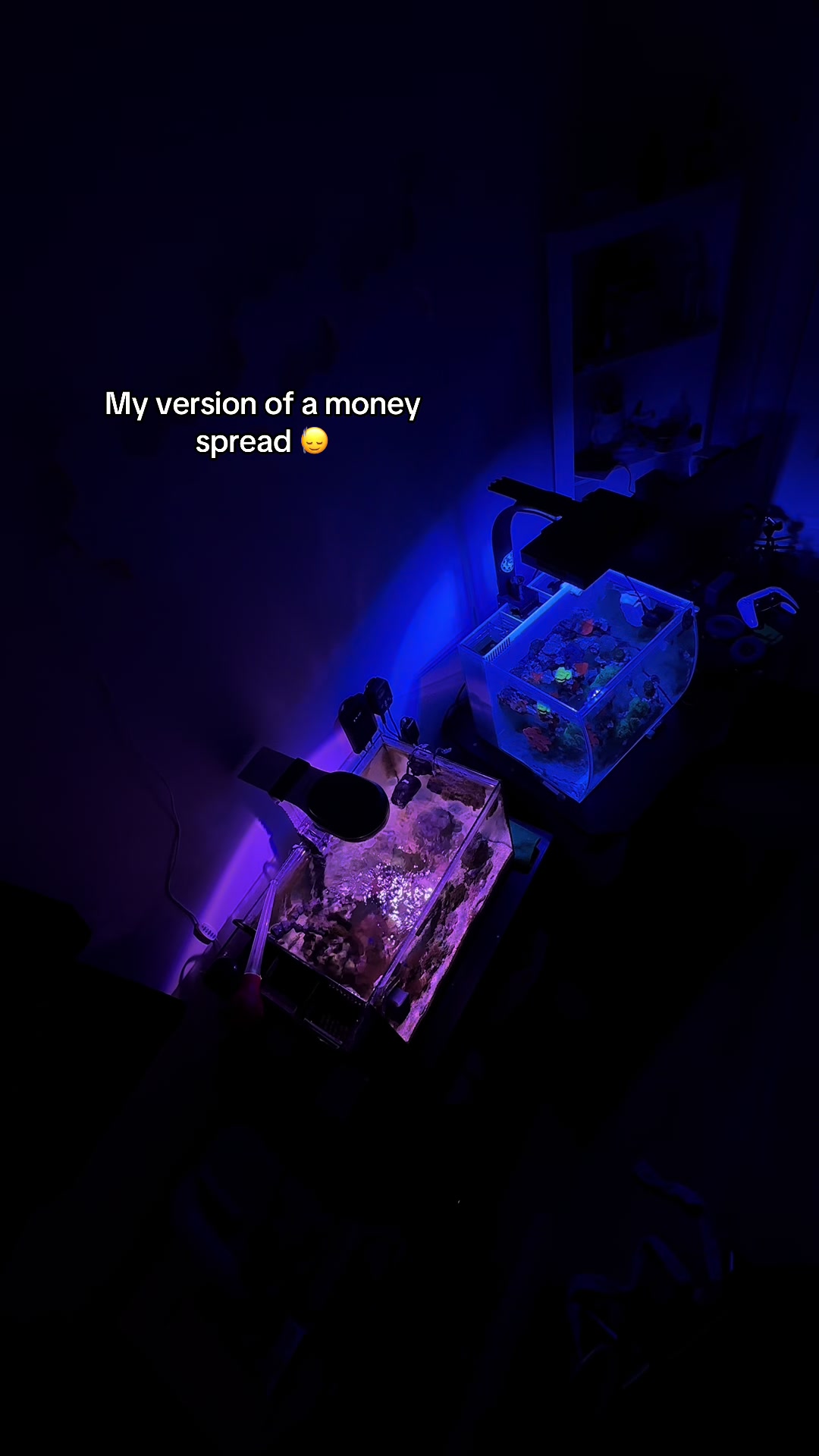 @ReefSync