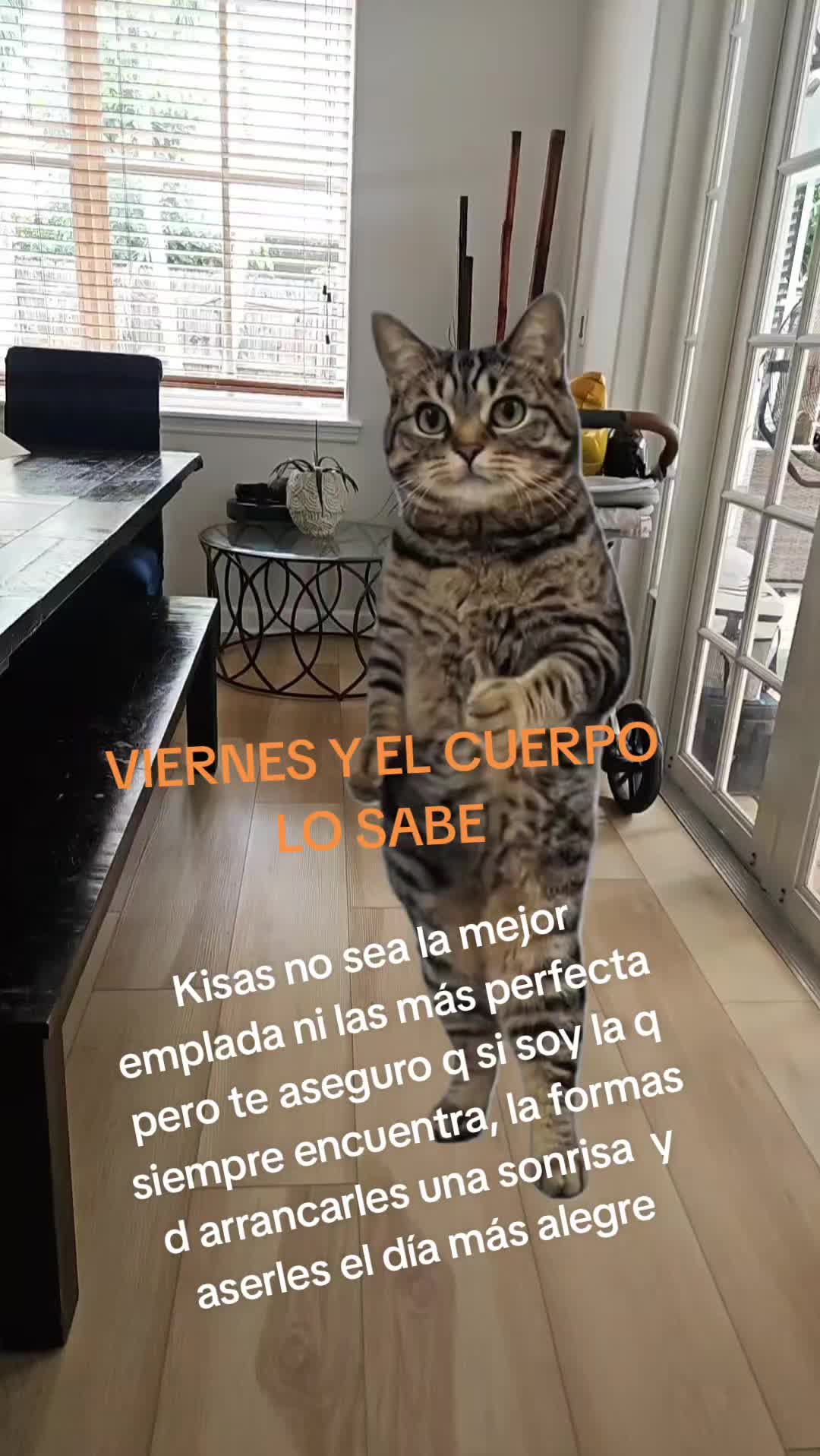 @ANJELICA@