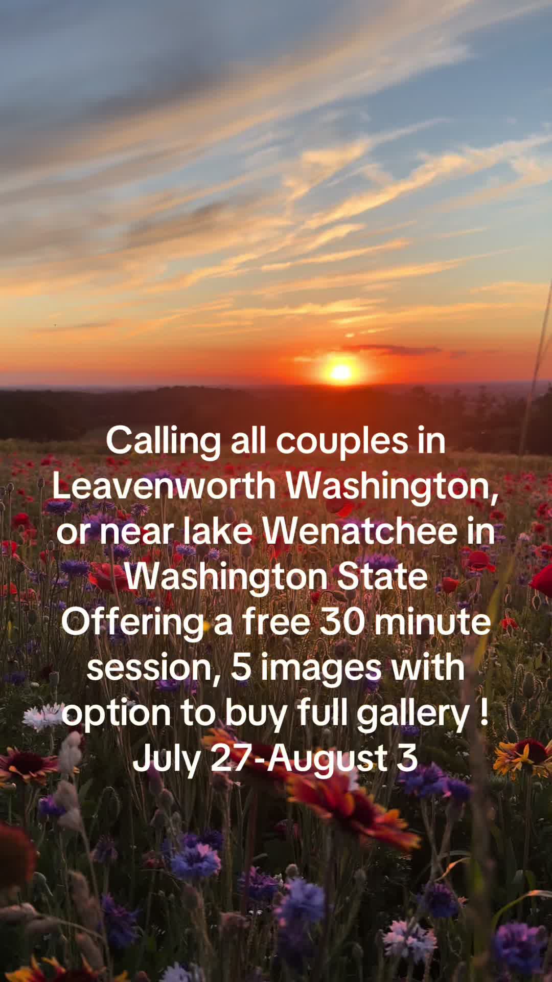 @WildMeadowPhotography