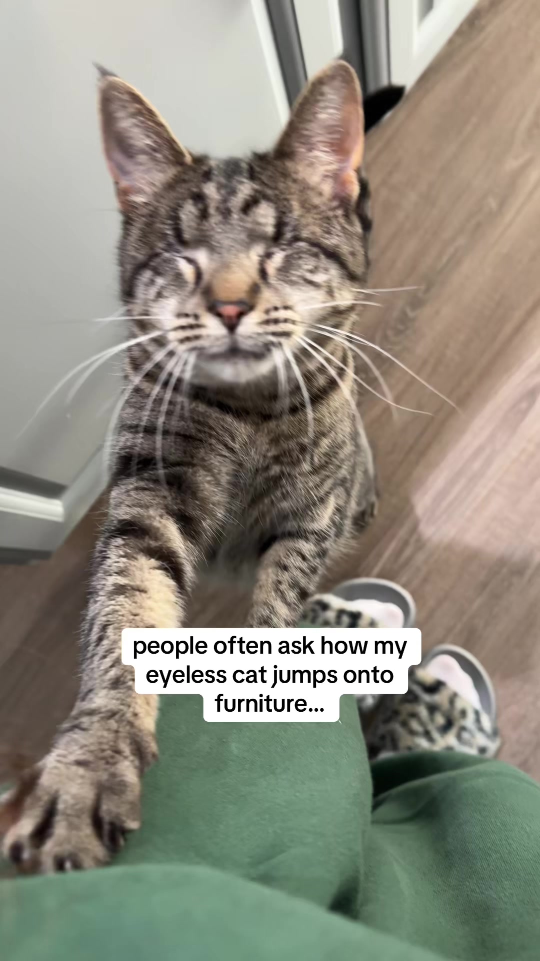 @𝘼𝙢𝙗𝙚𝙧 & 𝙎𝙩𝙚𝙫𝙞𝙚